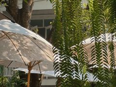 -Fern Forest Cafe