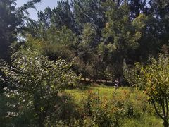 -东郊湿地公园