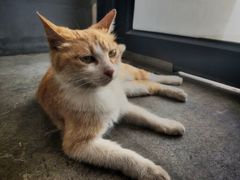 -隹木咖啡馆(宝龙广场店)