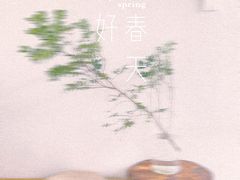 -漫笙舍Manse·咖啡·民宿