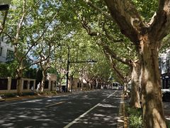 -一尺花园(安和花园店)