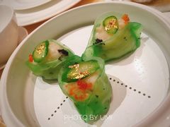 -8餐厅(新葡京酒店)