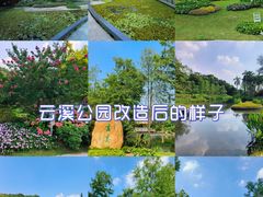 -云溪植物园