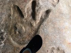 -湖南省地质博物馆