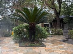 -张家港金凤凰度假村温泉