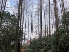 -上海怡沁园度假酒店