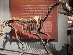 -齐齐哈尔市博物馆