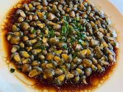 葱油泥螺-华盛丰温州大排档(东三环南路店)