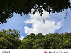 -银瓶山森林公园(谢岗镇)