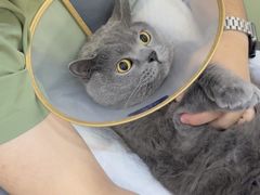 -萌兽医馆·眼科·异宠专科(三里屯店)