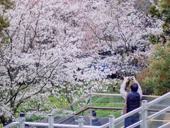 -徐家汇公园