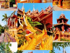 -曼听御花园