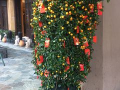 -三亚湾红树林度假世界(木棉酒店)