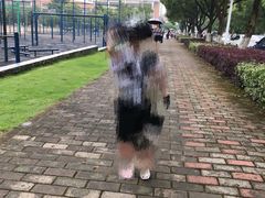 -江西科技学院