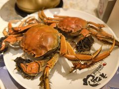 -初色海鲜自助(新辰里亚运村店)