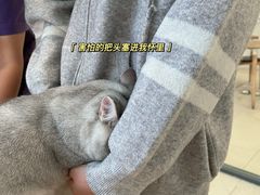 -萌兽医馆·眼科·异宠专科(三里屯店)