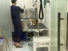 -心语宠物医院·急重症转诊中心·瑞辰华诺(南青路店)