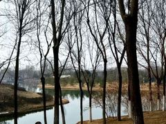 -大兴滨河森林公园