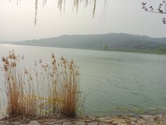 -羊山湖公园
