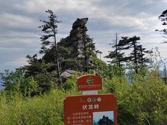 -朱雀国家森林公园