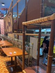 -卡通尼·Safari非洲探索乐园·生日会(金桥国际商业广场店)