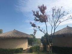 -梁子湖东篱老屋生态庄园