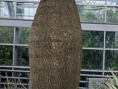 -南山植物园