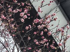 -上海市第十人民医院(总院)