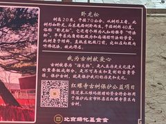 -红螺寺