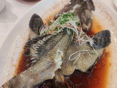 清蒸珍珠斑-御彩酒家(东风东路店)