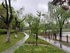 -黄兴公园
