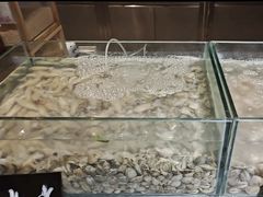 -太原富力万达文华酒店·美食汇西餐厅