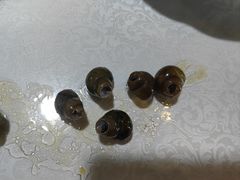 -呼吸森林·生态农庄农家乐私房菜