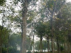 android_upload_pic-太平河公园