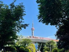 -北外滩滨江绿地