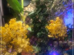 -魔指印象(西藏旗舰店)