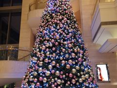 -新发展亚太JW万豪酒店大堂吧