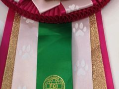 -Husky Go! 哈士奇体验馆·宠物咖啡厅狗咖