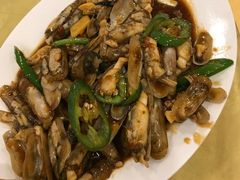 -鸿达渔港