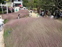 -牛岗山公园