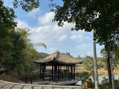 -老木棉·匠园