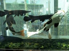 -衡山汇·高级粤菜(霄云路店)