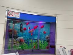 -雅悦齿科(顾村公园店)