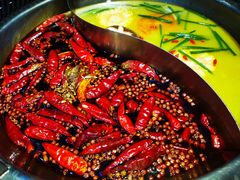 红油麻辣火锅-红辣椒·川菜·火锅(张杨路店)