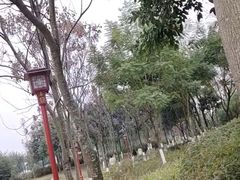 -眉山湿地公园(东坡区)