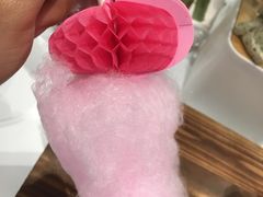 火烈鸟-随心小姐