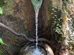 -呀诺达热带雨林