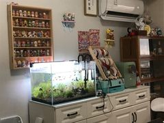 -满月蛋糕定制·商务茶歇·diy课程(万达广场店)