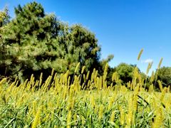 -长春公园(普阳街道)