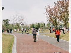 -府河摄影公园